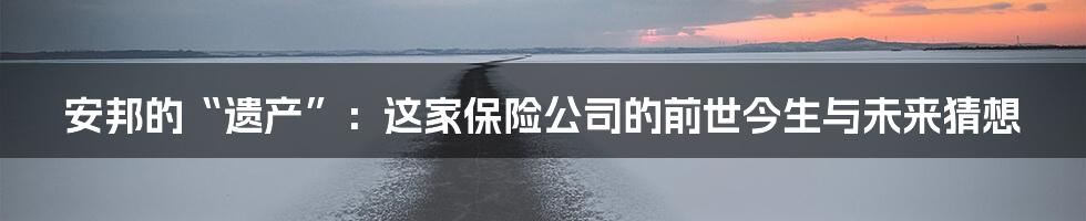 安邦的“遗产”：这家保险公司的前世今生与未来猜想