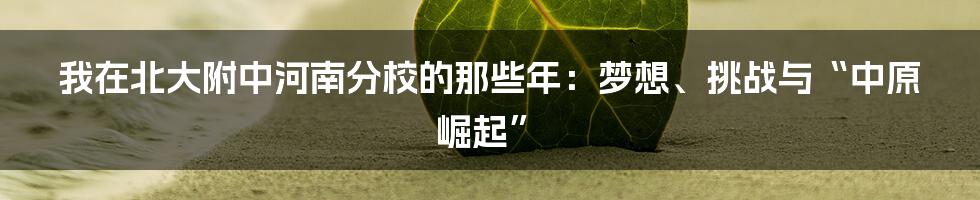 我在北大附中河南分校的那些年:梦想、挑战与“中原崛起”