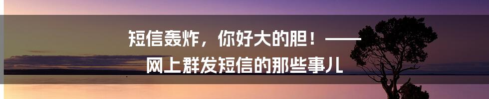 短信轰炸，你好大的胆！—— 网上群发短信的那些事儿