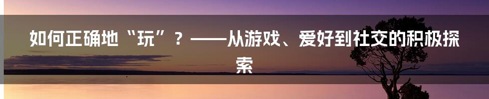 如何正确地“玩”？——从游戏、爱好到社交的积极探索