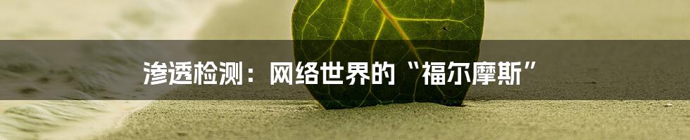 渗透检测:网络世界的“福尔摩斯”