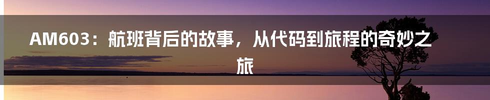 AM603:航班背后的故事,从代码到旅程的奇妙之旅