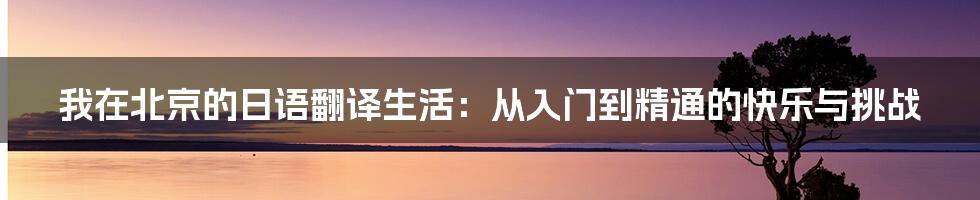 我在北京的日语翻译生活：从入门到精通的快乐与挑战