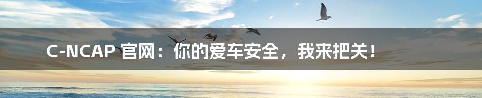 C-NCAP 官网:你的爱车安全,我来把关!