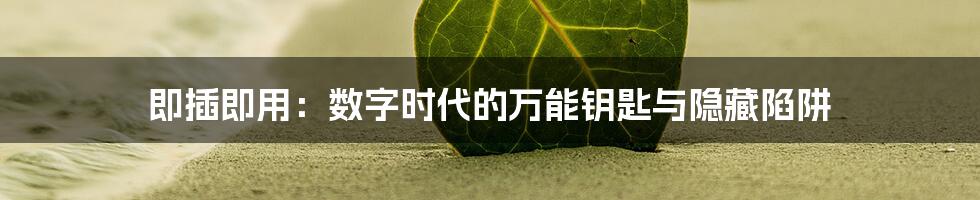 即插即用:数字时代的万能钥匙与隐藏陷阱