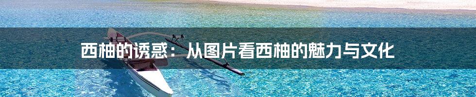 西柚的诱惑：从图片看西柚的魅力与文化