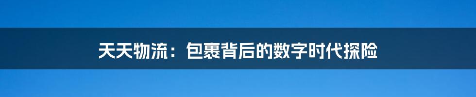 天天物流:包裹背后的数字时代探险
