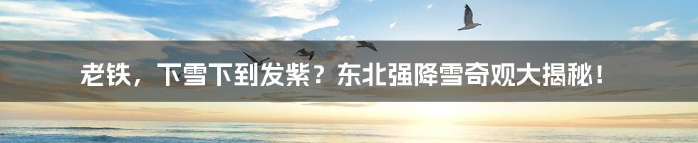 老铁，下雪下到发紫？东北强降雪奇观大揭秘！