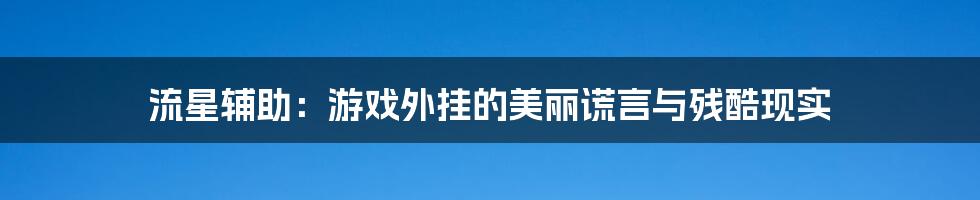 流星辅助:游戏外挂的美丽谎言与残酷现实