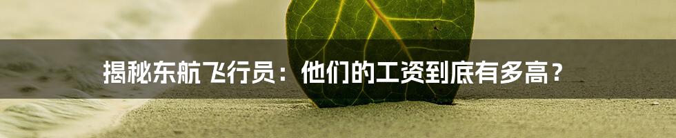 揭秘东航飞行员:他们的工资到底有多高?