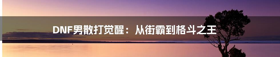 DNF男散打觉醒:从街霸到格斗之王