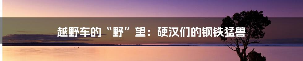 越野车的“野”望：硬汉们的钢铁猛兽