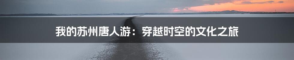 我的苏州唐人游：穿越时空的文化之旅