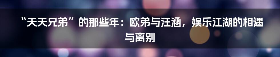 “天天兄弟”的那些年:欧弟与汪涵,娱乐江湖的相遇与离别