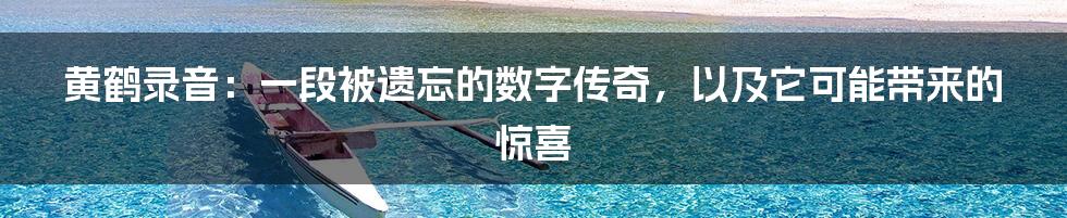 黄鹤录音：一段被遗忘的数字传奇，以及它可能带来的惊喜