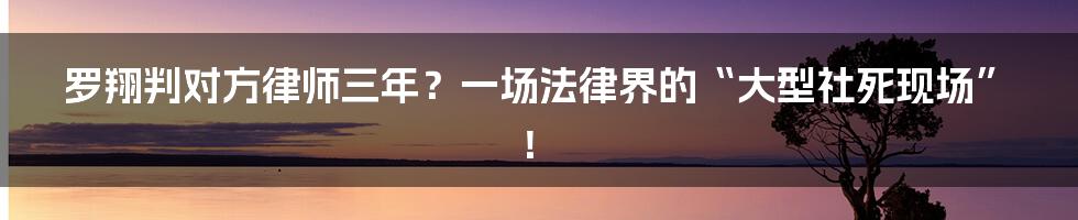 罗翔判对方律师三年?一场法律界的“大型社死现场”!
