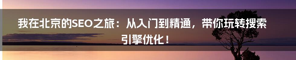 我在北京的SEO之旅：从入门到精通，带你玩转搜索引擎优化！