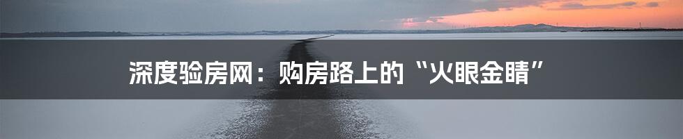 深度验房网：购房路上的“火眼金睛”