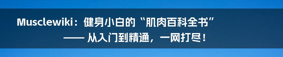Musclewiki：健身小白的“肌肉百科全书”—— 从入门到精通，一网打尽！