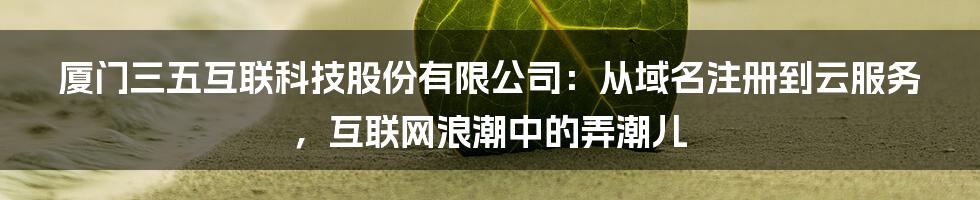 厦门三五互联科技股份有限公司：从域名注册到云服务，互联网浪潮中的弄潮儿