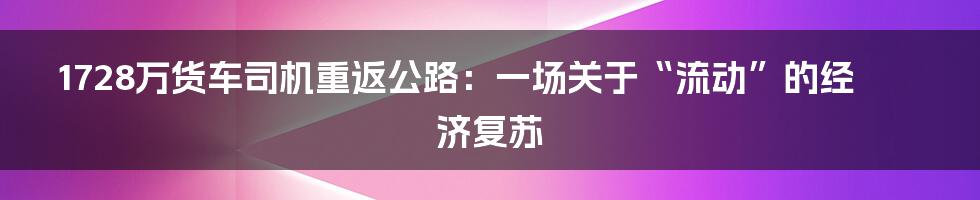 1728万货车司机重返公路:一场关于“流动”的经济复苏