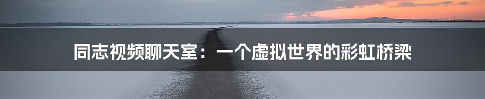 同志视频聊天室:一个虚拟世界的彩虹桥梁