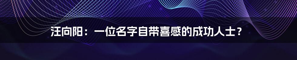 汪向阳：一位名字自带喜感的成功人士？
