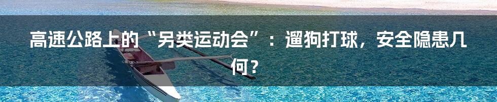 高速公路上的“另类运动会”：遛狗打球，安全隐患几何？