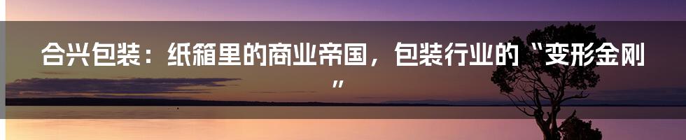 合兴包装:纸箱里的商业帝国,包装行业的“变形金刚”