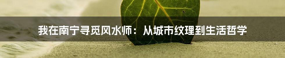 我在南宁寻觅风水师：从城市纹理到生活哲学