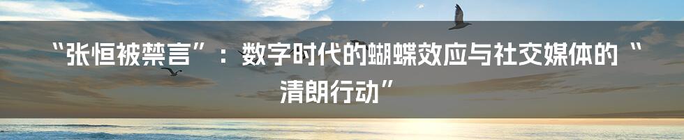 “张恒被禁言”：数字时代的蝴蝶效应与社交媒体的“清朗行动”