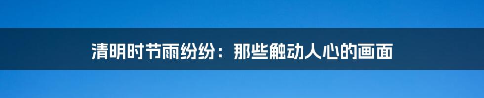 清明时节雨纷纷：那些触动人心的画面