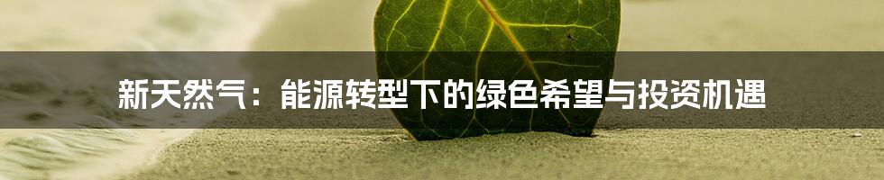 新天然气:能源转型下的绿色希望与投资机遇