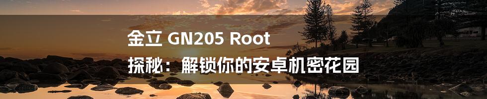 金立 GN205 Root 探秘：解锁你的安卓机密花园
