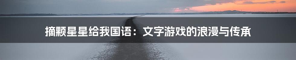 摘颗星星给我国语:文字游戏的浪漫与传承