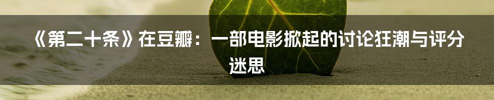 《第二十条》在豆瓣：一部电影掀起的讨论狂潮与评分迷思