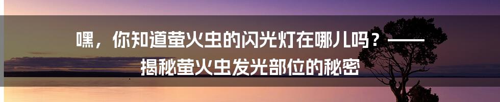 嘿，你知道萤火虫的闪光灯在哪儿吗？—— 揭秘萤火虫发光部位的秘密