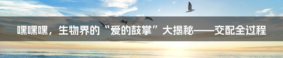 嘿嘿嘿,生物界的“爱的鼓掌”大揭秘——交配全过程