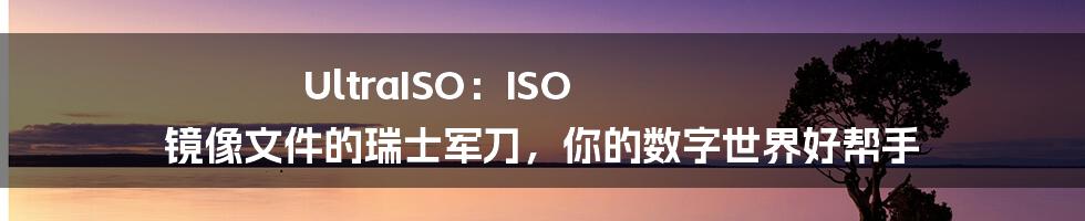 UltraISO:ISO 镜像文件的瑞士军刀,你的数字世界好帮手