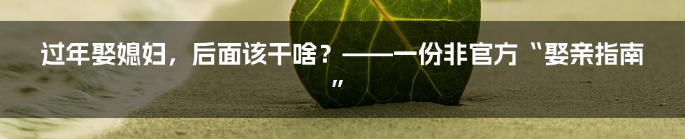 过年娶媳妇，后面该干啥？——一份非官方“娶亲指南”
