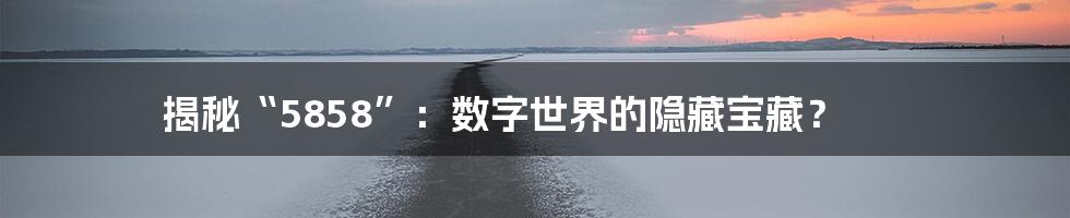 揭秘“5858”：数字世界的隐藏宝藏？