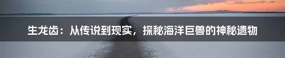 生龙齿：从传说到现实，探秘海洋巨兽的神秘遗物