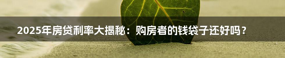 2025年房贷利率大揭秘:购房者的钱袋子还好吗?