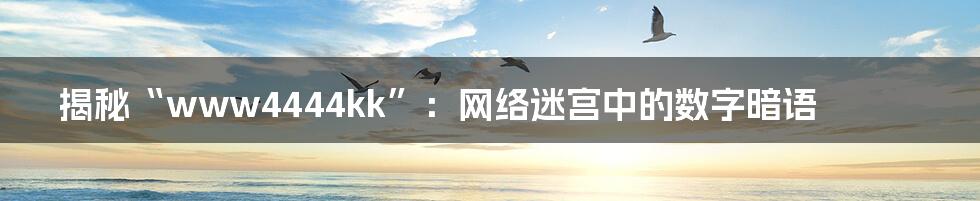 揭秘“www4444kk”:网络迷宫中的数字暗语
