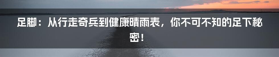 足脚：从行走奇兵到健康晴雨表，你不可不知的足下秘密！