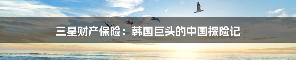 三星财产保险：韩国巨头的中国探险记