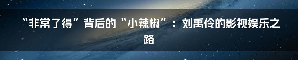 “非常了得”背后的“小辣椒”:刘禹伶的影视娱乐之路