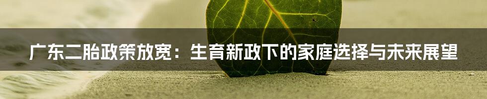 广东二胎政策放宽：生育新政下的家庭选择与未来展望