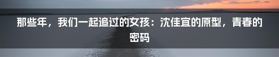 那些年,我们一起追过的女孩:沈佳宜的原型,青春的密码