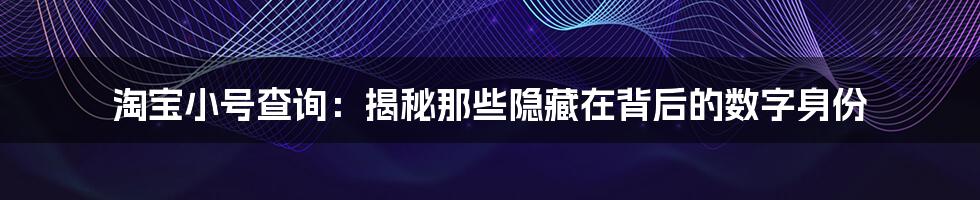 淘宝小号查询:揭秘那些隐藏在背后的数字身份